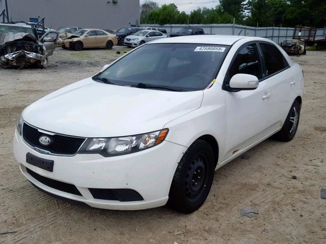 KNAFU4A21A5175526 - 2010 KIA FORTE EX WHITE photo 2