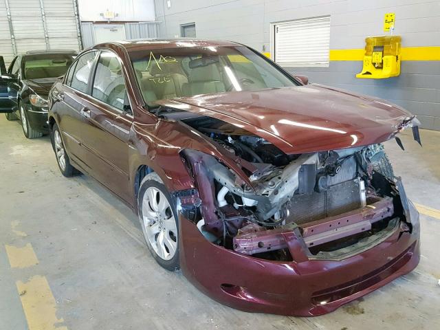 1HGCP36838A053256 - 2008 HONDA ACCORD EXL BURGUNDY photo 1