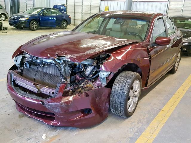 1HGCP36838A053256 - 2008 HONDA ACCORD EXL BURGUNDY photo 2