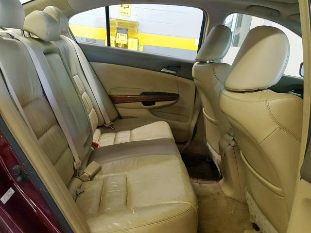 1HGCP36838A053256 - 2008 HONDA ACCORD EXL BURGUNDY photo 6