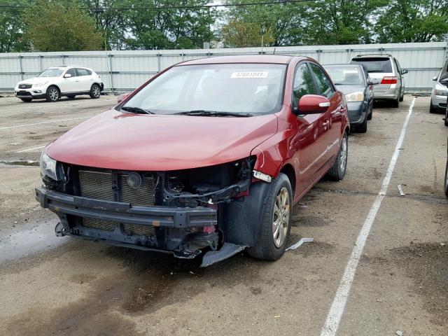 KNAFU4A26A5863120 - 2010 KIA FORTE EX RED photo 2