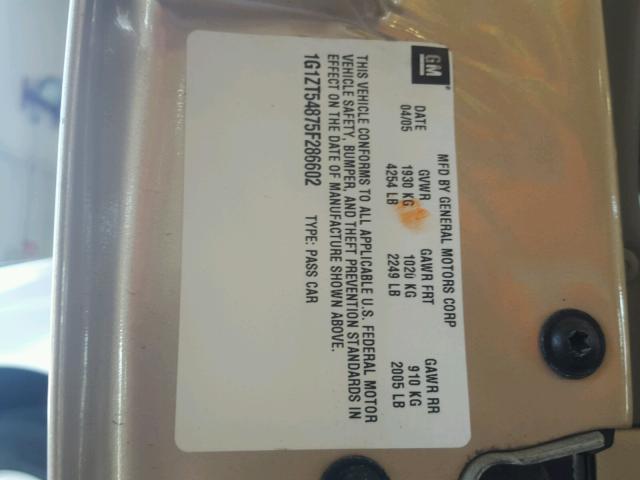 1G1ZT54875F286602 - 2005 CHEVROLET MALIBU LS 金色 照片 10