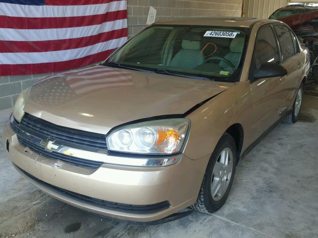1G1ZT54875F286602 - 2005 CHEVROLET MALIBU LS 金色 照片 2