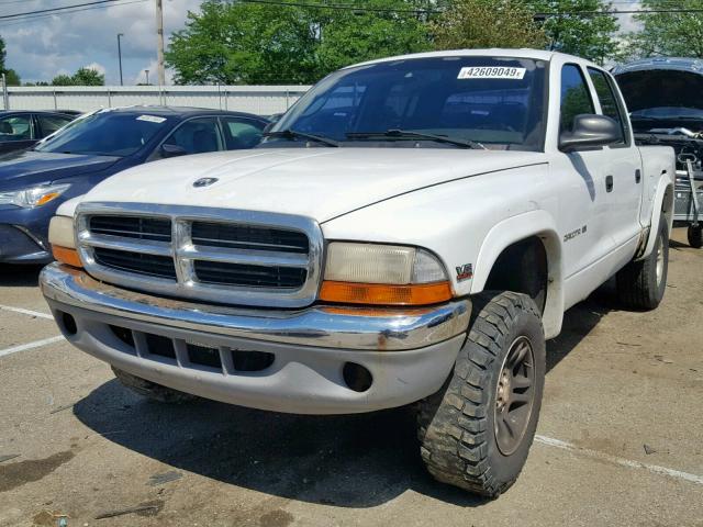 1B7GG2AX6YS624743 - 2000 DODGE DAKOTA QUA WHITE photo 2