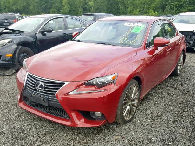 JTHCF1D26E5005290 - 2014 LEXUS IS 250 RED photo 2