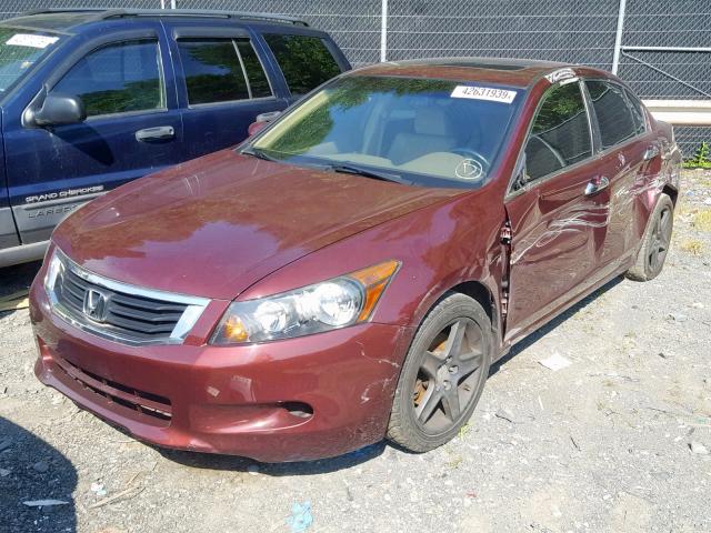 1HGCP36849A006321 - 2009 HONDA ACCORD EXL BURGUNDY photo 2