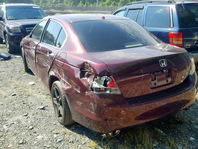 1HGCP36849A006321 - 2009 HONDA ACCORD EXL BURGUNDY photo 3