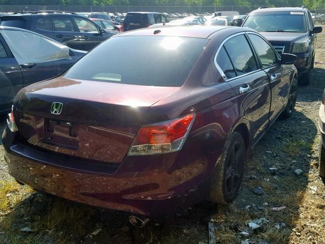 1HGCP36849A006321 - 2009 HONDA ACCORD EXL BURGUNDY photo 4