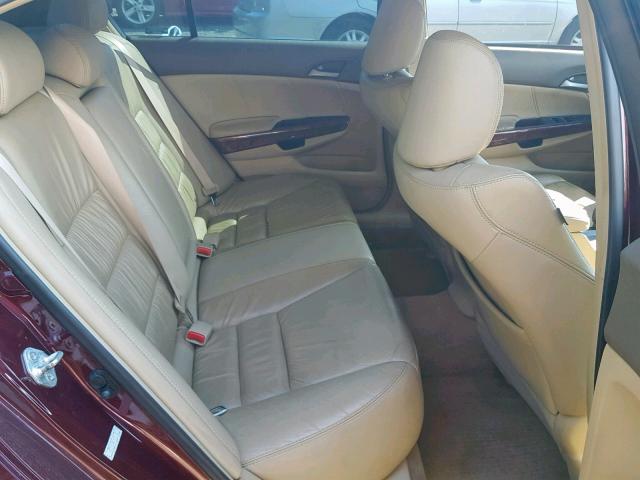 1HGCP36849A006321 - 2009 HONDA ACCORD EXL BURGUNDY photo 6