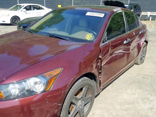 1HGCP36849A006321 - 2009 HONDA ACCORD EXL BURGUNDY photo 9