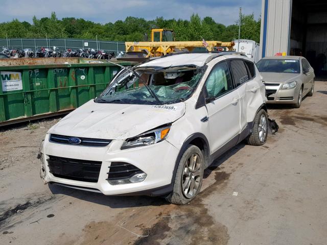 1FMCU9J91EUD21852 - 2014 FORD ESCAPE TIT WHITE photo 2