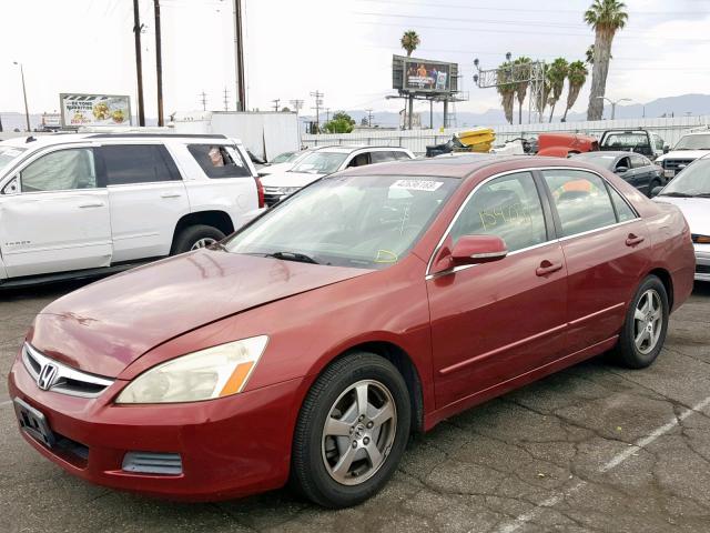 JHMCN36447C001086 - 2007 HONDA ACCORD HYB BURGUNDY photo 2