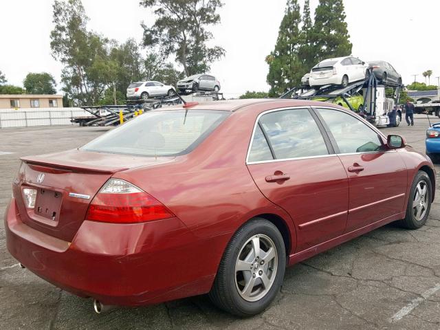 JHMCN36447C001086 - 2007 HONDA ACCORD HYB BURGUNDY photo 4