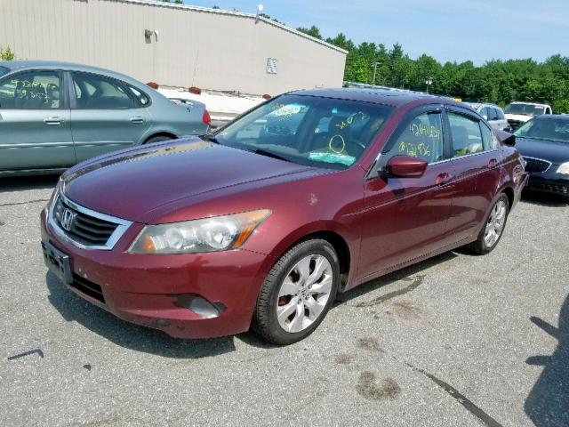 1HGCP26868A094863 - 2008 HONDA ACCORD EXL RED photo 2