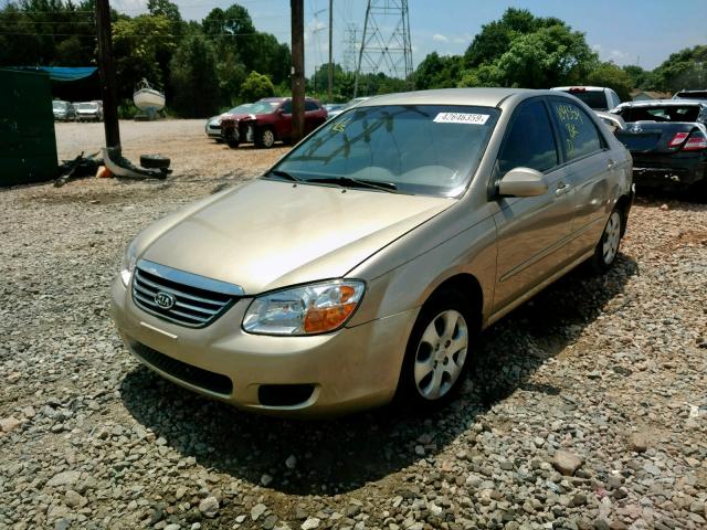 KNAFE121885517081 - 2008 KIA SPECTRA EX GOLD photo 2