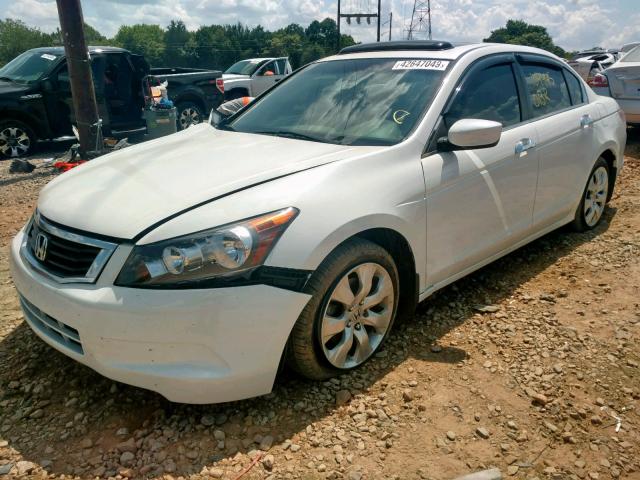 1HGCP36809A039235 - 2009 HONDA ACCORD EXL WHITE photo 2