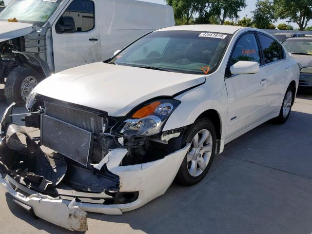 1N4CL21E78C134207 - 2008 NISSAN ALTIMA HYB WHITE photo 2