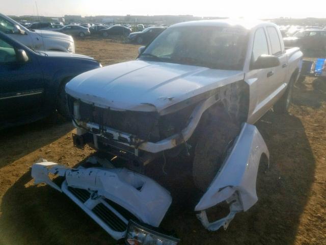 1D7HE38K28S513056 - 2008 DODGE DAKOTA SXT WHITE photo 2