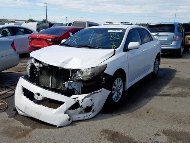 1NXBU4EE1AZ371702 - 2010 TOYOTA COROLLA BA WHITE photo 2