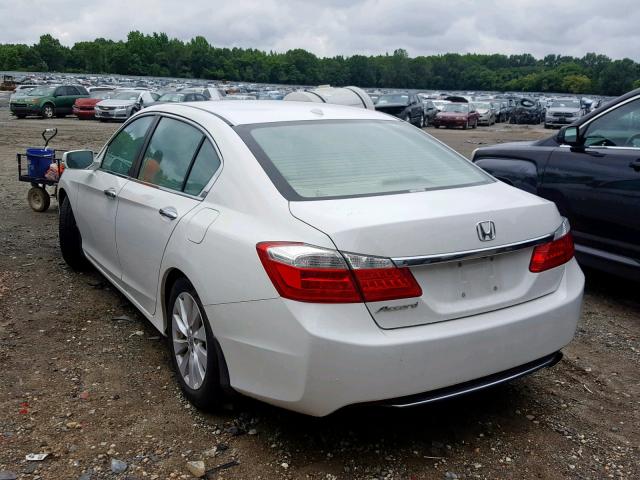 1HGCR2F82DA157834 - 2013 HONDA ACCORD EXL WHITE photo 3