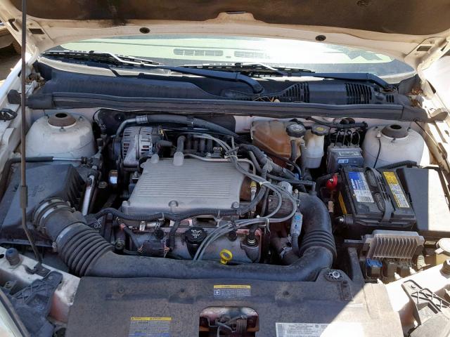 1G1ZT64804F207789 - 2004 CHEVROLET MALIBU MAX 白色 照片 7