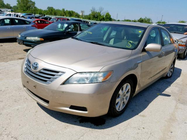 4T1BB46K39U071200 - 2009 TOYOTA CAMRY HYBR GOLD photo 2