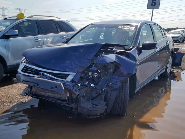 1HGCP36808A087624 - 2008 HONDA ACCORD EXL BLUE photo 2