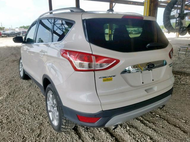 1FMCU0J96GUC05951 - 2016 FORD ESCAPE TIT WHITE photo 3