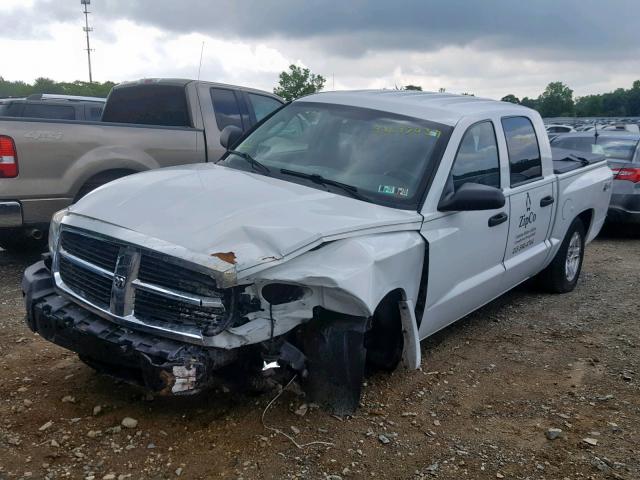 1D7HW48N56S716145 - 2006 DODGE DAKOTA QUA WHITE photo 2