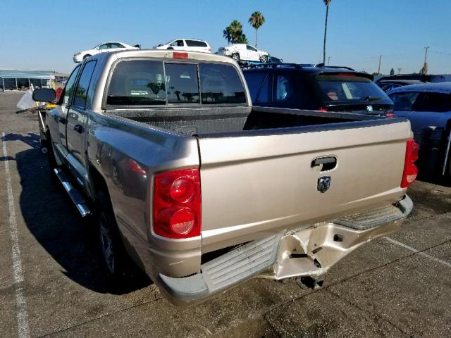 1D7HE48K25S134348 - 2005 DODGE DAKOTA QUA TAN photo 3