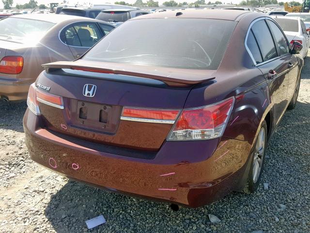 1HGCP2F82BA080031 - 2011 HONDA ACCORD EXL MAROON photo 4