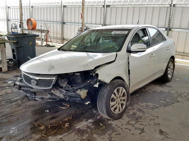 KNAFU4A23C5561559 - 2012 KIA FORTE EX WHITE photo 2