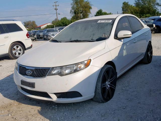 KNAFU4A21B5413957 - 2011 KIA FORTE EX WHITE photo 2