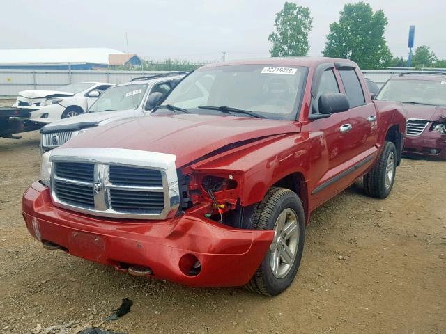 1D7HW48P37S267423 - 2007 DODGE DAKOTA QUA RED photo 2