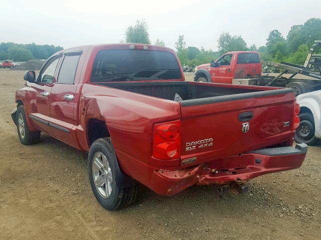 1D7HW48P37S267423 - 2007 DODGE DAKOTA QUA RED photo 3