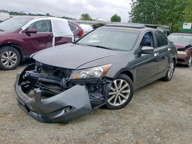 1HGCP36818A009188 - 2008 HONDA ACCORD EXL GRAY photo 2