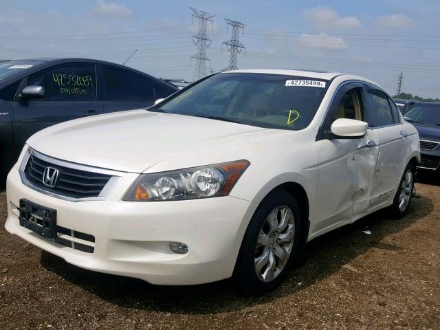 1HGCP36818A084084 - 2008 HONDA ACCORD EXL WHITE photo 2