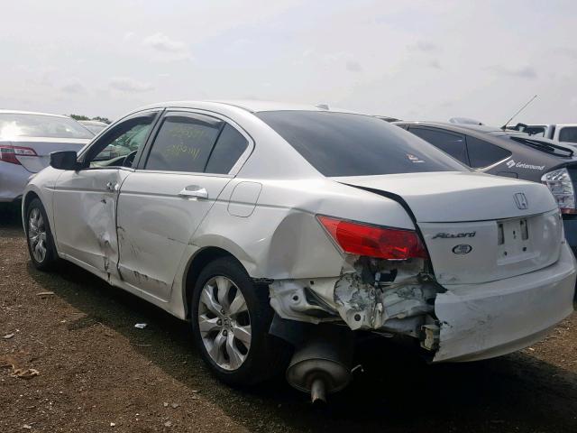 1HGCP36818A084084 - 2008 HONDA ACCORD EXL WHITE photo 3