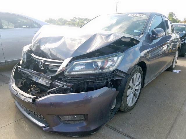 1HGCR2F8XEA187391 - 2014 HONDA ACCORD EXL BLUE photo 2