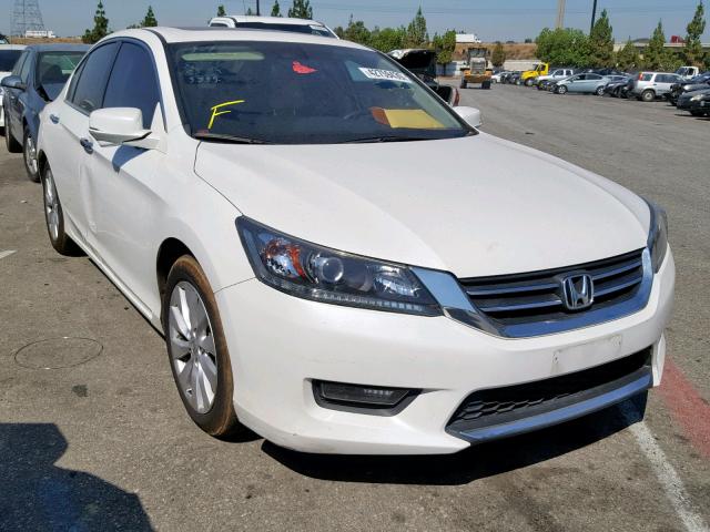 1HGCR2F83EA083339 - 2014 HONDA ACCORD EXL WHITE photo 1