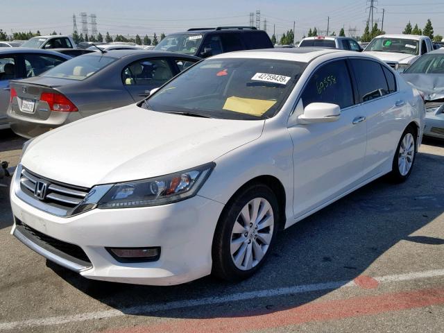 1HGCR2F83EA083339 - 2014 HONDA ACCORD EXL WHITE photo 2