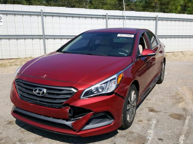 5NPE34AF5FH237683 - 2015 HYUNDAI SONATA SPO RED photo 2