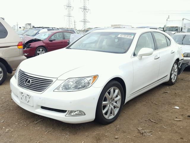 JTHBL46F475046252 - 2007 LEXUS LS 460 WHITE photo 2