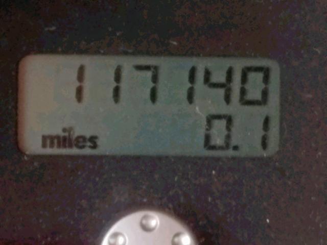 3VWCD31YX4M333460 - 2004 VOLKSWAGEN NEW BEETLE Sarı foto 8