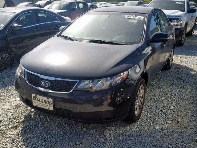 KNAFU4A21D5684827 - 2013 KIA FORTE EX BLACK photo 2