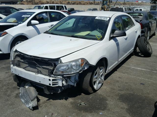 1G1ZB5E1XBF298307 - 2011 CHEVROLET MALIBU LS 白色 照片 2