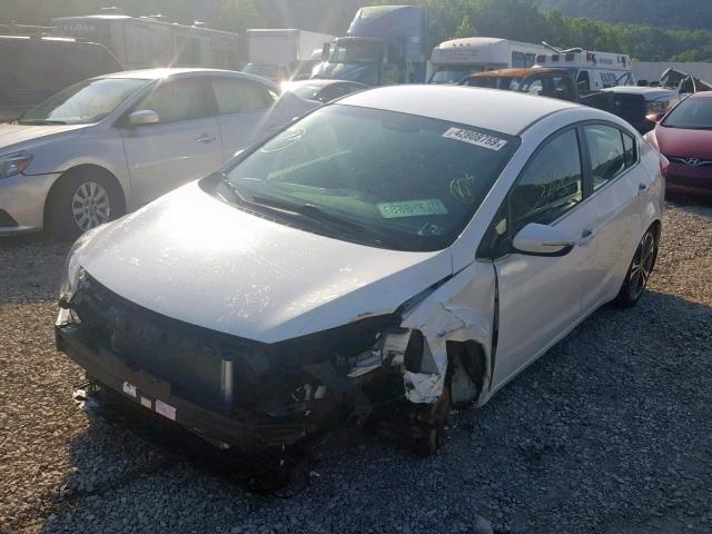 KNAFX4A86E5155595 - 2014 KIA FORTE EX WHITE photo 2