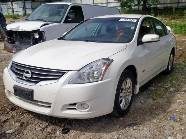 1N4CL2AP8BC185286 - 2011 NISSAN ALTIMA HYB WHITE photo 2