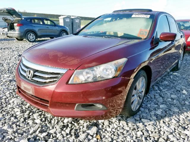 1HGCP2F87CA206840 - 2012 HONDA ACCORD EXL BURGUNDY photo 2