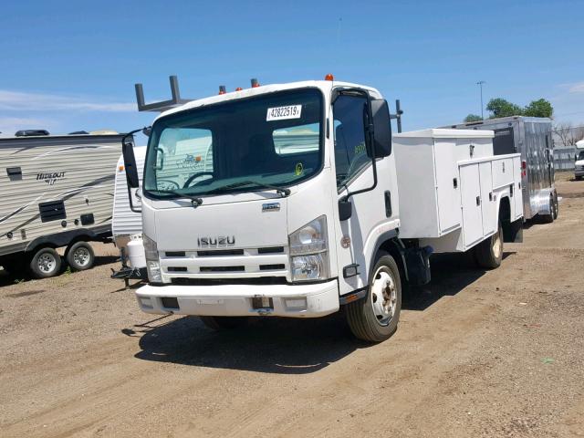 JALE5W160D7900146 - 2013 ISUZU NQR WHITE photo 2